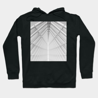 Building Interior with symmetric ceiling Photography Hoodie